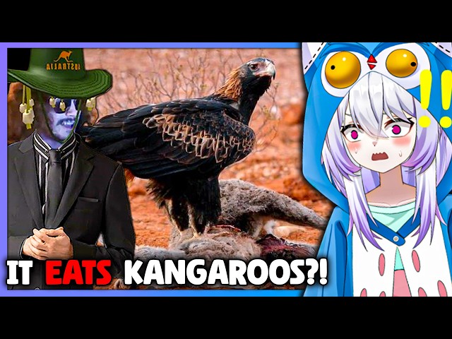 WHY DOES THIS EXIST?! 😱| VTuber Reacts to MoreParz (NEW)