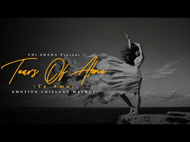 Tears Of Alone Mashup 2026 | Vdj Shana | Ash King x Zack Knight x Vishal Mishra | Emotions Chillout