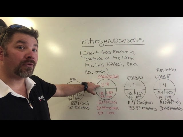 Understanding Nitrogen Narcosis (The Rapture Of The Deep)