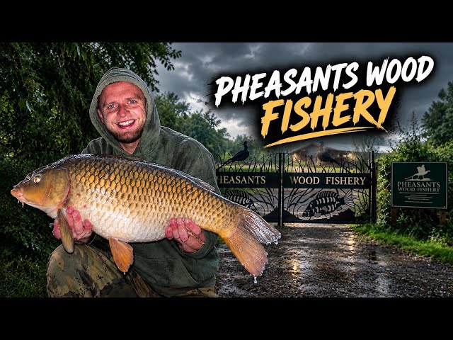 First Session on a BRAND NEW Carp Lake | Pheasants Wood Fishery