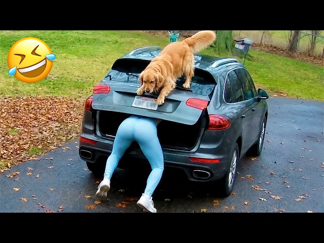 Funniest Animal Videos 2026 😂 When Animals Are at Their Funniest