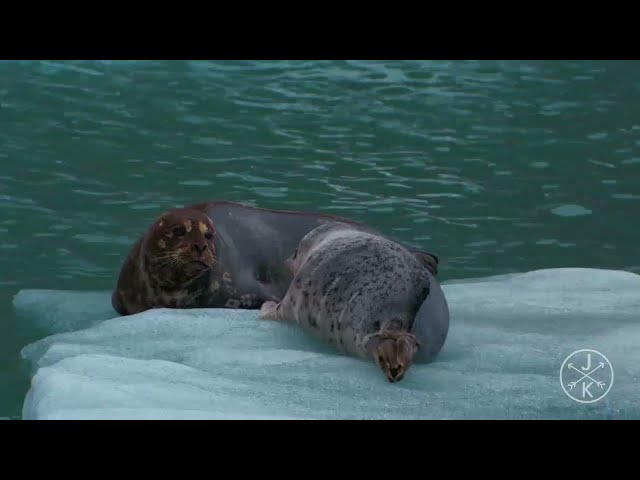 Alaska in 8K 60p HDR  Dolby Vision