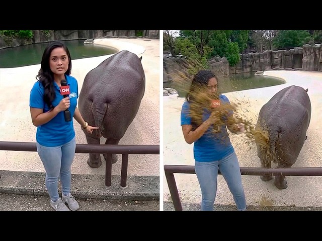 Funny Animal Moments Caught On Camera