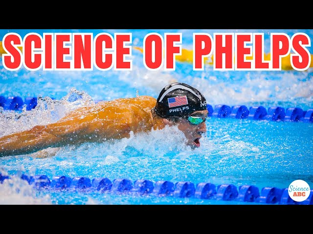 Why Was Michael Phelps So Successful At Olympics?