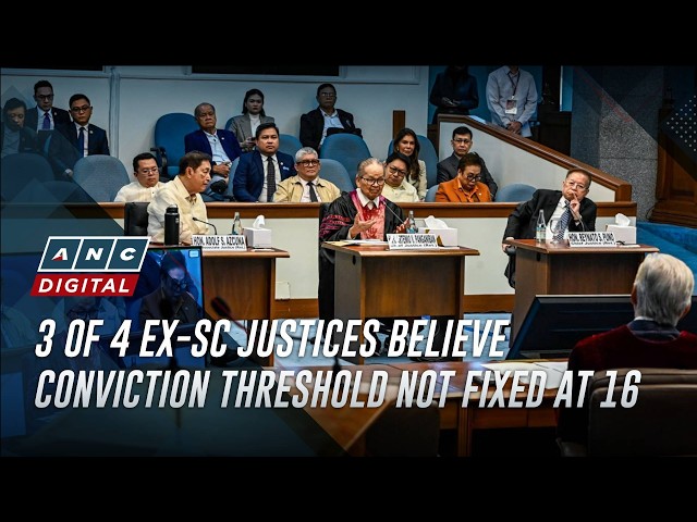 RECAP: What amici curiae advised senator-judges on voting threshold | ANC