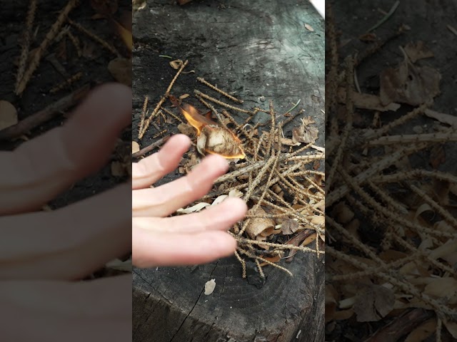 4 Easy Ways To Start Fire 🔥 Part 2 #fire #camping #survival