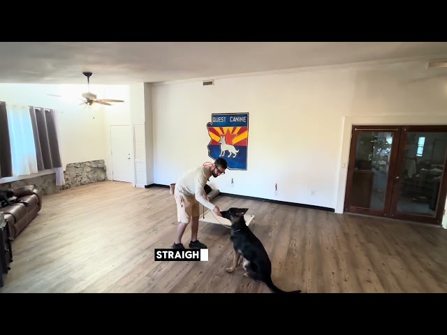 helpful training tips day 1 full video
