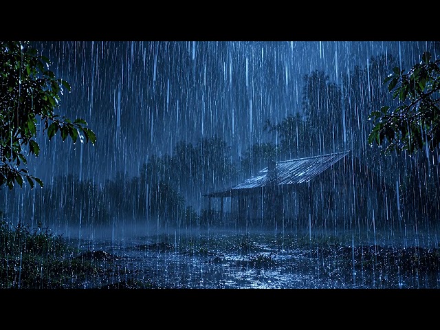 Heavy Rain on a Tin Roof at Night 🌧️ 3+ Hours of Rain Sounds for Sleep & Relaxation