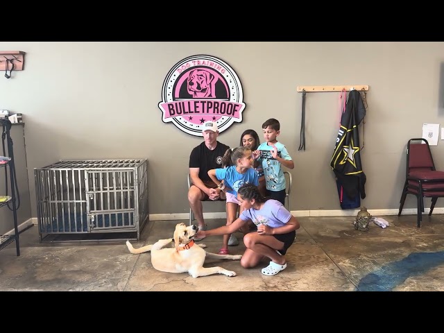Bulletproof Dog Training Board & Train Testimonial