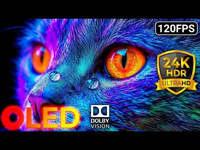 Earth's Rarest Wildlife: 24K HDR 120FPS Dolby Vision OLED Test (8K/4K Video)