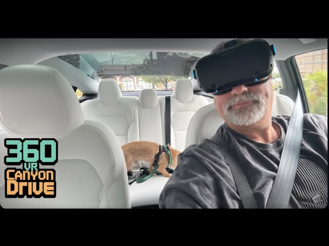 Tesla FSD 14.1.4 Conquers Cottonwood Canyon, Utah | Epic 360° Roof-Mount Insta360 Drive!
