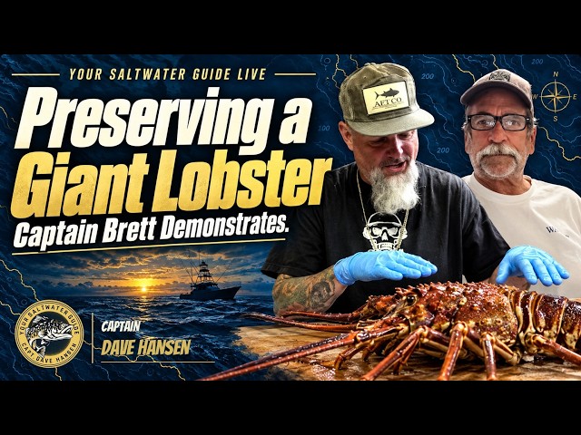 LIVE Lobster Hooping with Captain Al & Preserving an 11-Pound Lobster With Captain Brett
