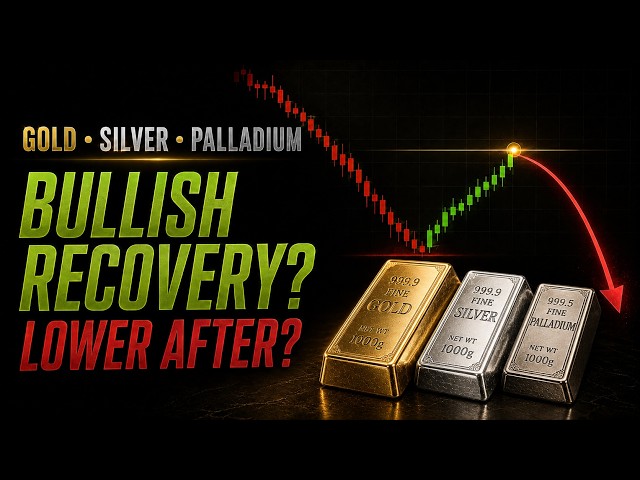 GOLD, SILVER & PALLADIUM | Daily Analysis: Drop Continues After the Recovery? Targets & Key Levels