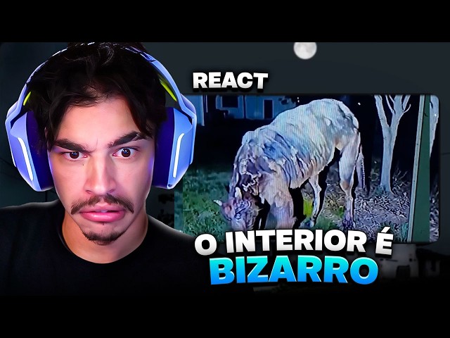I NEVER IMAGINED THE INTERIOR WAS SO SCARY! BISTECONE REACTS