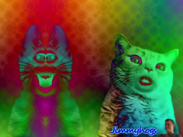 [M̶O̶S̶T̶ V̶I̶E̶W̶E̶D̶ V̶I̶D̶E̶O̶] How Preview 2 Numa Cat Opposite Effects Turns Into Right Mirrored