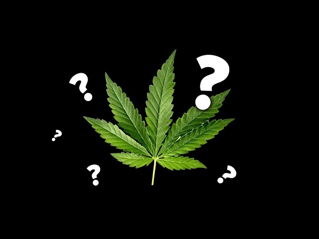 Dr. K Talks Weed