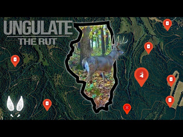 DO-IT-YOURSELF PUBLIC LAND HUNTING | BOWHUNTING THE MIDWEST | the FIRST RUT HUNTS of 2025 | EP.5