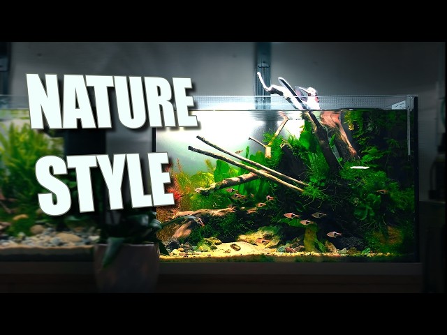 LOW TECH AQUASCAPE | Nature Style Scape | 4K