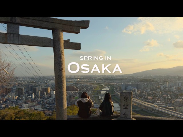 A perfect spring day in Osaka 🌸 teahouse, cafes, sakura & sunset spots | JAPAN VLOG