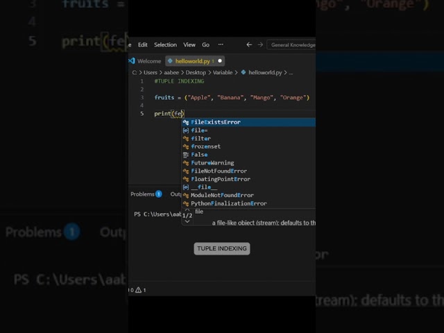 Python Tuple Indexing – Access Any Element! Beginner's Guide!