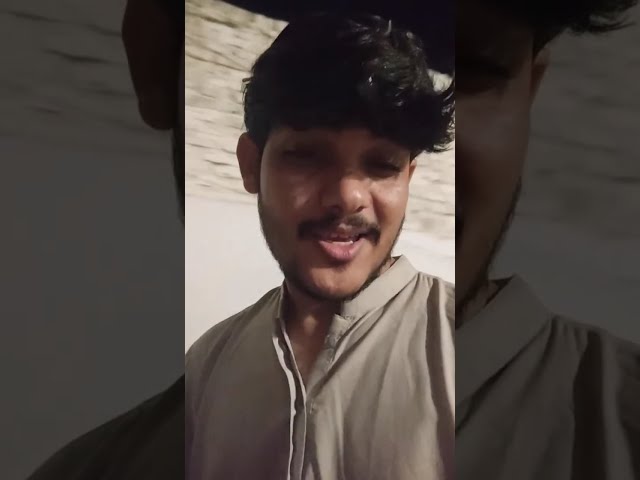 wt