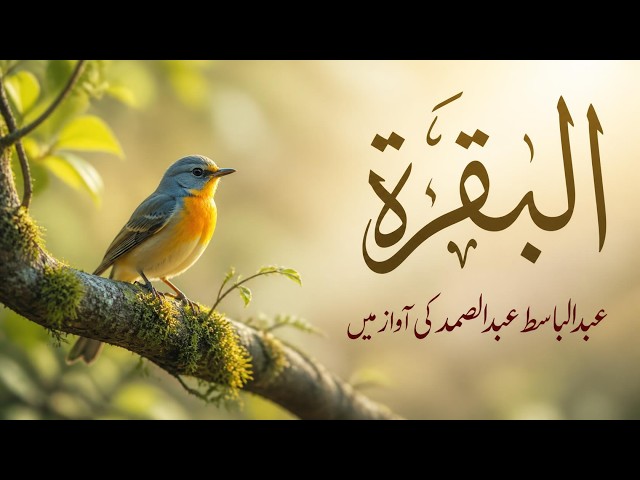 Surah Al-Baqarah Urdu Tarjuma | Abdul Basit Abdul Samad | Heart Touching Quran Recitation