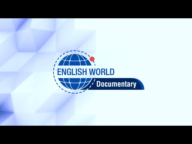 English World Documentary: Software Development