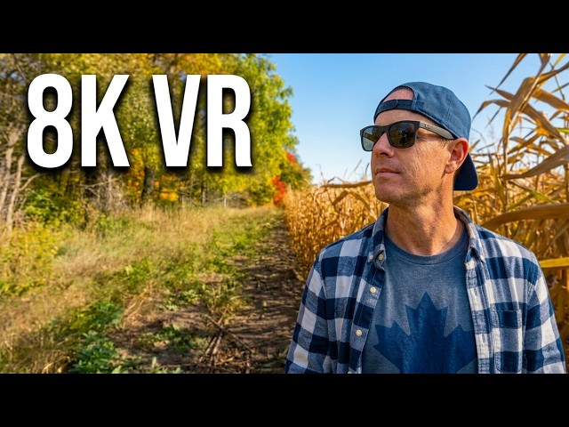 12 Minutes Between Forest & Cornfield: 8K VR Nature Escape