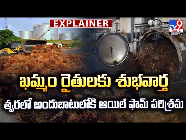 Explainer : ఖమ్మం రైతులకు శుభవార్త.. త్వరలో అందుబాటులోకి ఆయిల్ ఫామ్ పరిశ్రమ - TV9