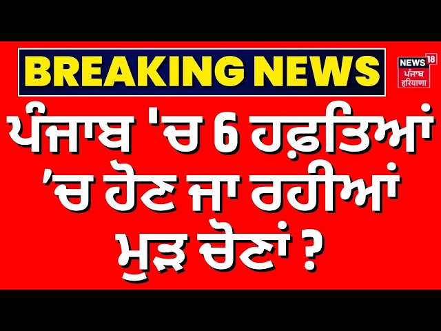 Punjab MC Re-Elections | ਪੰਜਾਬ 'ਚ 6 ਹਫ਼ਤਿਆਂ ’ਚ ਹੋਣ ਜਾ ਰਹੀਆਂ ਮੁੜ ਚੋਣਾਂ ? | LIVE | Supreme Court