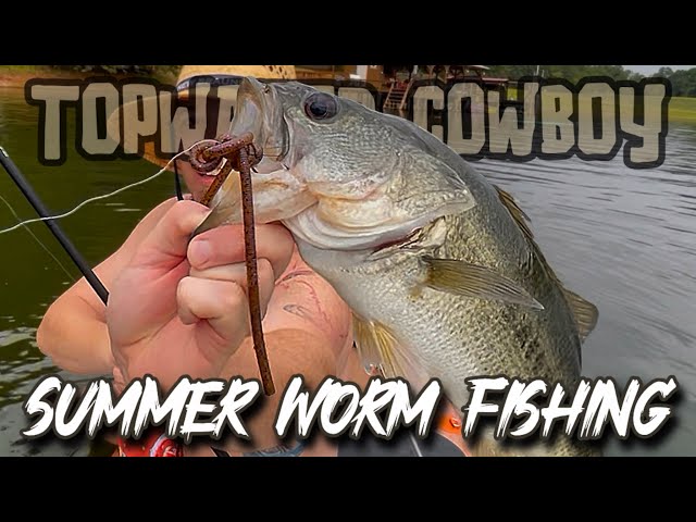 Slinging Worms From Paddle Board
