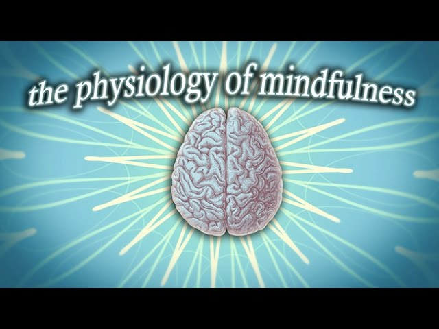 The Physiology of Mindfulness
