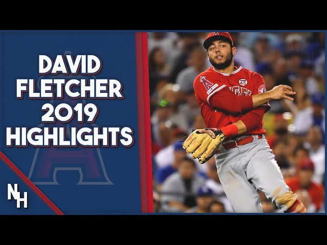 David Fletcher 2019 Highlights