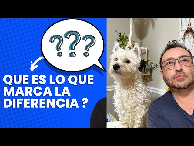 Uncover the Secret to Unlocking Success - No Es Suerte, Es Disciplina!