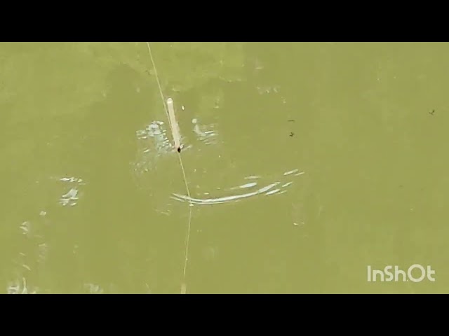Float fishing# khwai phong