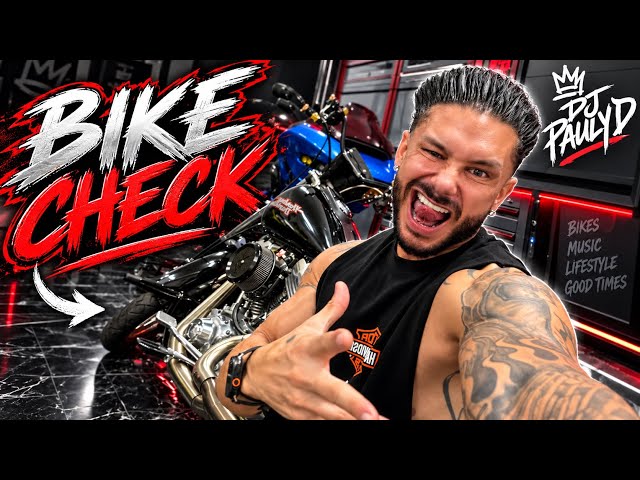 DJ Pauly D The D Stands For Dyna!!!!!!! 