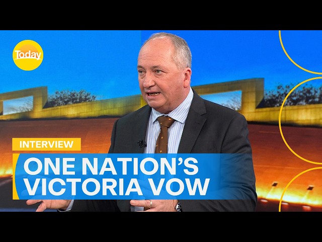 Barnaby Joyce speaks on One Nation's plan before Victorian election | Today Show Australia