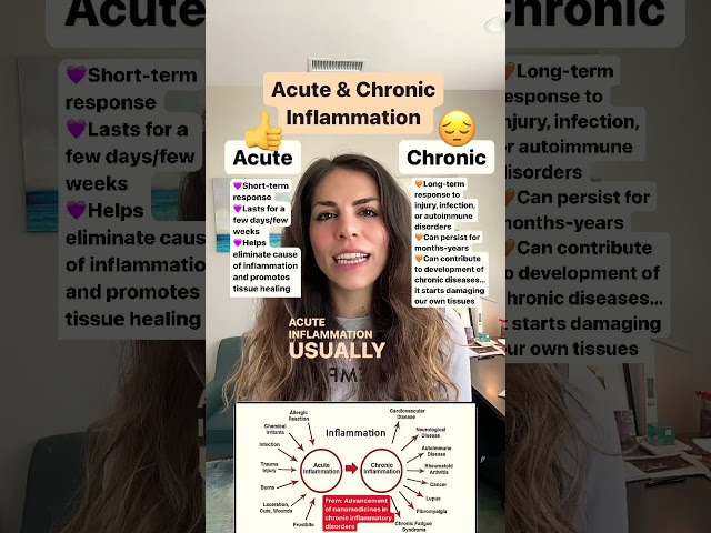 Acute and chronic inflammation in 1 minute#biology #STEM #medicine #nursing #premed #prenursing