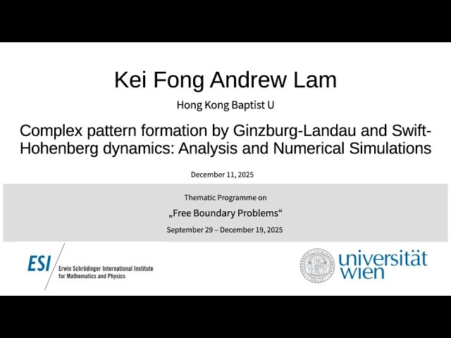 Kei Fong Andrew Lam - Complex pattern formation by Ginzburg-Landau and Swift-Hohenberg dynamics...