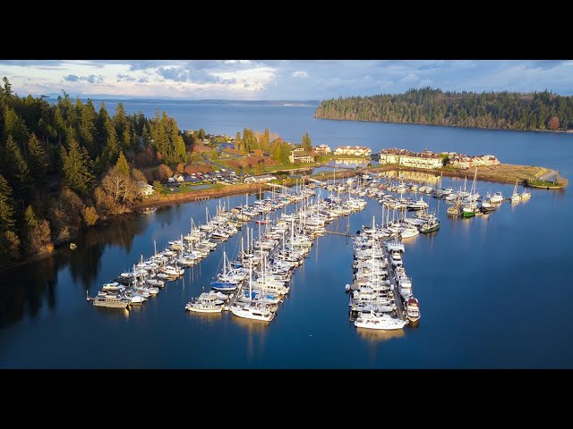 Port Ludlow Marina Live Stream