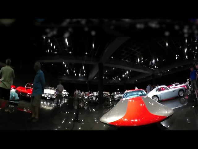 Blackhawk 360fly Pro