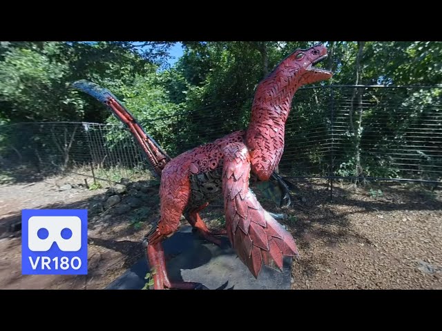 3D 180VR 4K Archaeopteryx Dinosaur in Jurassic Theme Park