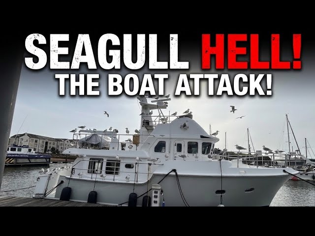 How To Ruin a Boat In 10 seconds Flat