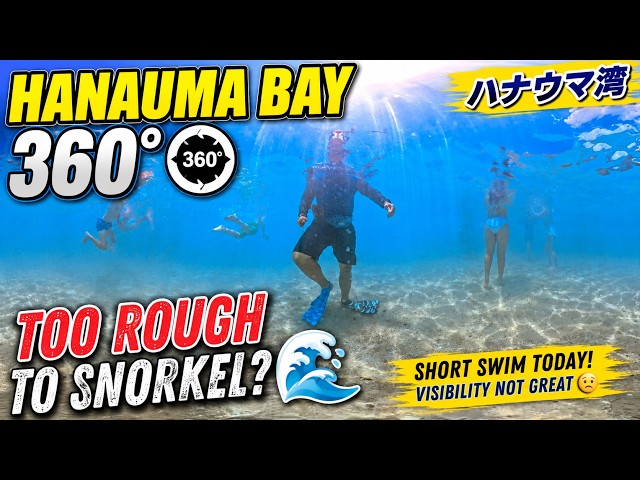 Hanauma Bay 360° Snorkeling | The Ocean Had Other Plans! 🤢🌊 | ハナウマ湾