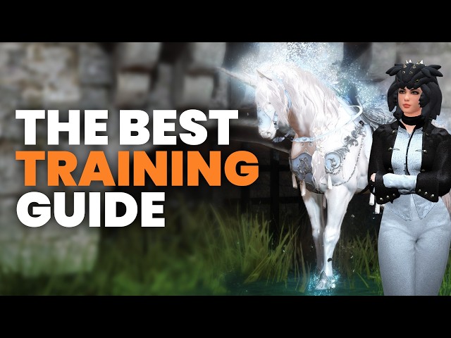 The ONLY Horse Training Guide You’ll Ever Need in 2026 | Black Desert Online