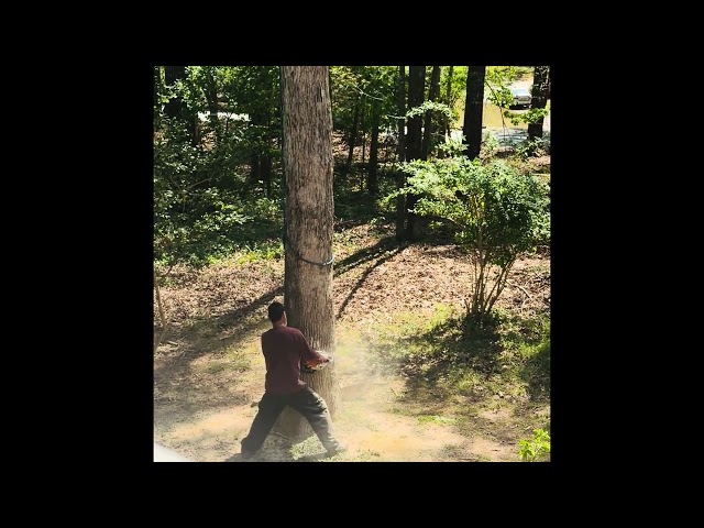 Tree Cutting - Garden Beautification 