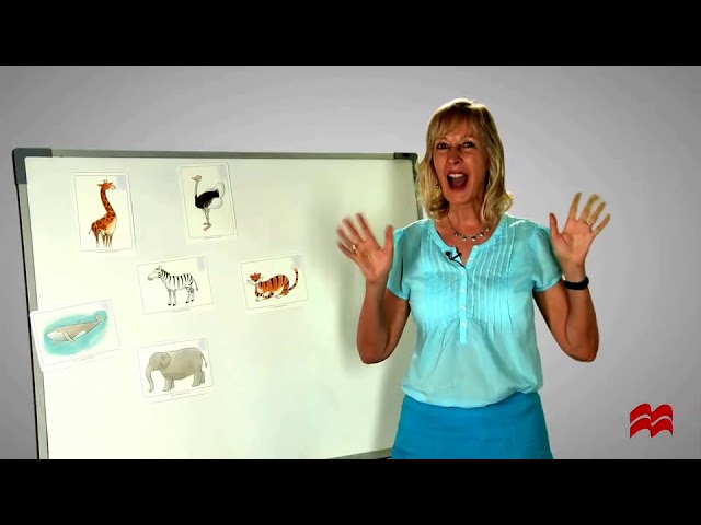Ideas for using flashcards