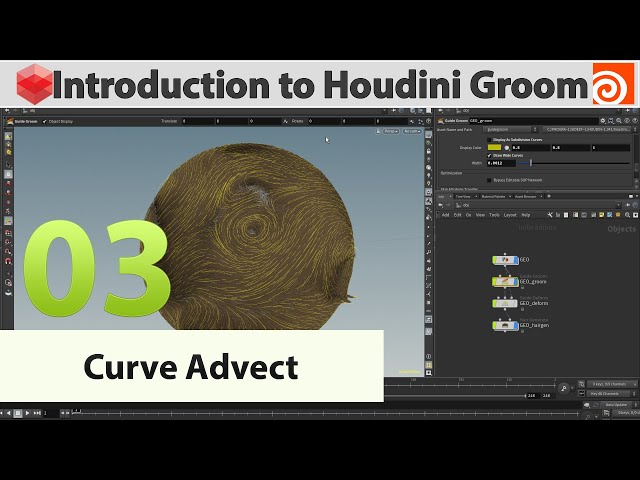 03 - Introduction to Houdini Groom  - Curve Advect