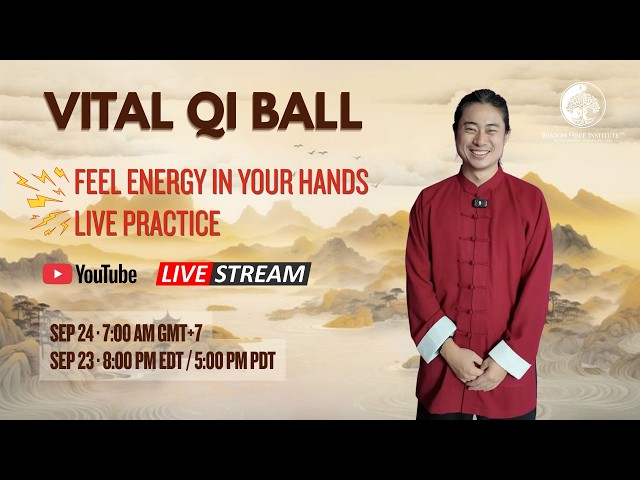 [NEW] Feel Energy in Your Hands | Vital Qi Ball – LIVE