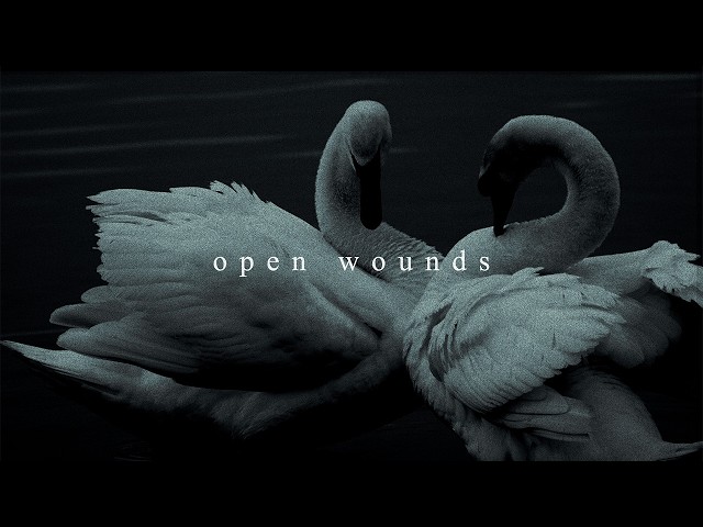 Hollow Front - Open Wounds (Official Lyric Video)